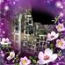 Profile Picture of Donna Baize (@Donna-Baize) on Facebook
