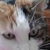 Profile Picture of Annie Knapper (@annie.knapper) on Facebook