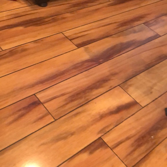 Darrell Scott - Poshmark Profile Picture of Darrell Scott (@dcscott0702) on Poshmark