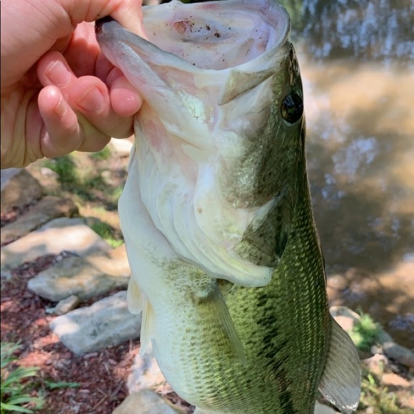 Profile Picture of Dalton Holtsclaw (@12daltonh) on Poshmark