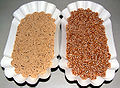 Amaranth grain - Wikipedia - Wikipedia Profile Picture of Amaranth grain - Wikipediaon Wikipedia