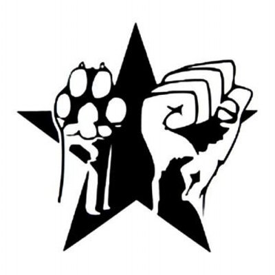 Profile Picture of Bryan Astudillo (@@BryanAstudillo1) on Twitter