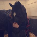 Profile Picture of Corey Lloyd (@corey_equestrian) on Instagram