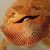Profile Picture of Andrew Luther (@aluther703) on Pinterest