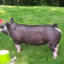 Profile Picture of Jacob Schrock (@schrock59) on Twitter