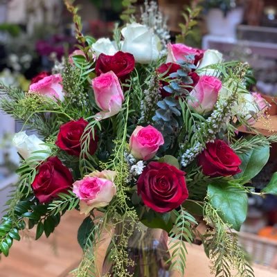 Profile Picture of Haley Ray (@haleydawnray) on Twitter