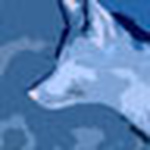 Profile Picture of Glen Cheriton (@fox blue) on Flickr