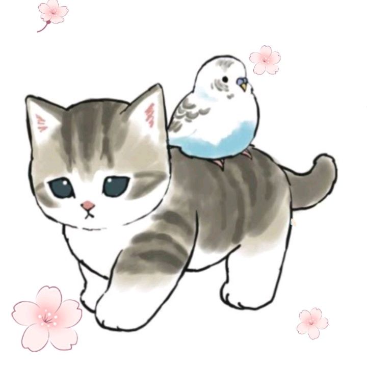 Profile Picture of SheriManning (@kleinfph8w6) on Tiktok