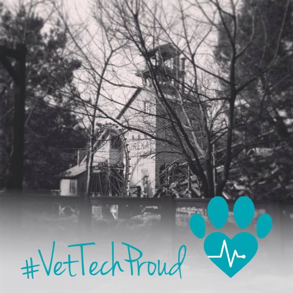 Profile Picture of Jessica Werren (@jwerren) on Poshmark