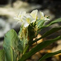 Profile Picture of James Girardier (@james-girardier) on Quora