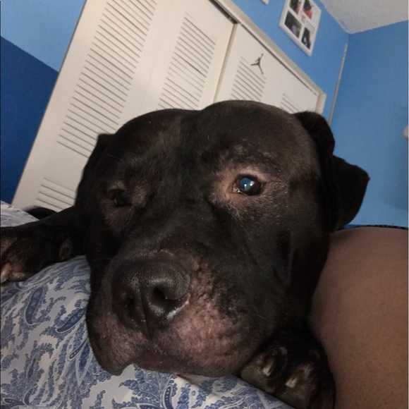 Profile Picture of Crystal Pereda (@trilla123) on Poshmark