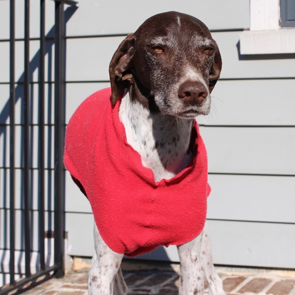 Profile Picture of Joseph Benich (@benichjj) on Poshmark