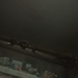 Profile Picture of Jerome Maston (@jerome.maston.96) on Facebook