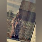 Profile Picture of Paulinka Surma (@paulinka_1337) on Instagram