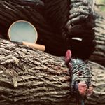 Profile Picture of Dane Simmons (@half_strutcustomcalls) on Instagram