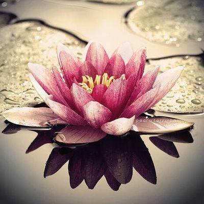 Profile Picture of Samuel Gerber (@SamuelGerber3) on Twitter