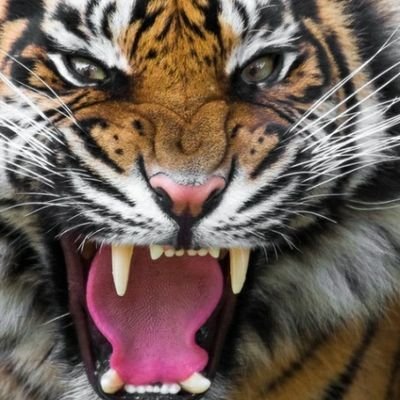 Edgar Eduardo Valverde Arango - Twitter Profile Picture of Edgar Eduardo Valverde Arango (@EdgarEd05724953) on Twitter