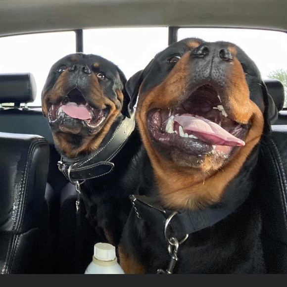 Joshua Bobbitt - Poshmark Profile Picture of Joshua Bobbitt (@joshuabobbitt) on Poshmark