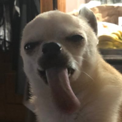 Profile Picture of Brenden Casey (@brenden16casey) on Twitter