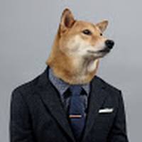 Profile Picture of Noah Domikis (@noah-domikis) on Quora