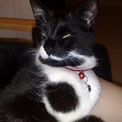 Profile Picture of Jo Lester-Moseley (@NTBT04) on Twitter