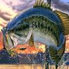 Profile Picture of Joseph Mcvey (@@bassfishing1230) on Tiktok