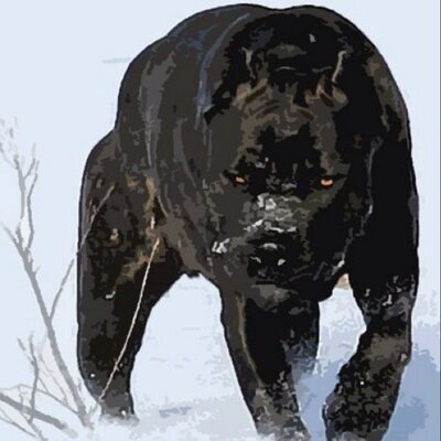 Profile Picture of Jim Edmondson (@CoachemupJim) on Twitter