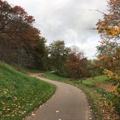 Profile Picture of Yuelian Sun (@JuliaYS8) on Twitter