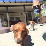 Profile Picture of Erich Hoberg (@merichhoberg) on Instagram