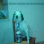 Profile Picture of Marco Barragan (@marco.barragan.50) on Instagram