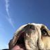 Profile Picture of Paul Barter (@paul.barter.583) on Facebook