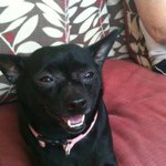 Profile Picture of Julia herbert (@juwajuwad) on Instagram