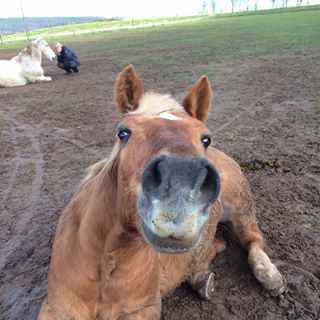 Profile Picture of Thomas Scheibert (@Thomas-Scheibert) on Facebook