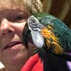 Profile Picture of Robin Manley (@Vascovi) on Tiktok