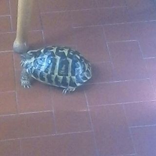 Profile Picture of Samuel Scordino (@samuel.scordino.1) on Facebook