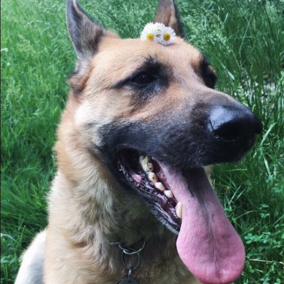 Profile Picture of Leah Bauer (@leahcar19) on Poshmark