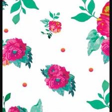 Savannah Frost - Twitter Profile Picture of Savannah Frost (@SavannahFrost25) on Twitter