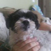 Profile Picture of Dave Marble (@dave-marble-4) on Quora