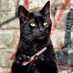 Profile Picture of Patrick Grimaldi (@patrickgrimaldi) on Instagram