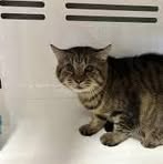 Profile Picture of Furie Scott (@Furie-Scott) on Facebook