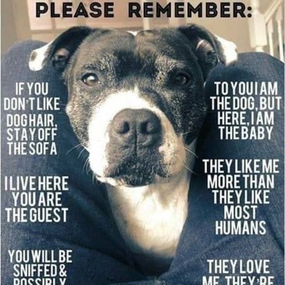 Bambi Kapustik - Poshmark Profile Picture of Bambi Kapustik (@bambikeno) on Poshmark