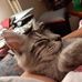 Profile Picture of Jacqueline Buffo (@jacqueline.buffo.1) on Facebook