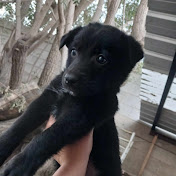 Profile Picture of Maria Luz Fierro Rrodriguez  (@marialuzfierrorodriguez7937) on Youtube