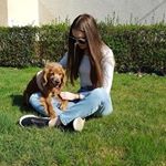 Profile Picture of Tamara Trajbarič (@tamara_trajbaric) on Instagram