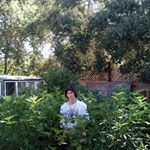 Ben Wyman - Instagram Profile Picture of Ben Wyman (@benjamin_wyman) on Instagram