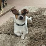 Profile Picture of Adam (@adam_barton16) on Instagram