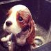 Profile Picture of Paul Weidner (@paul.weidner.1232) on Facebook
