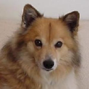 Profile Picture of Karen Trimble (@300201666) on Myspace