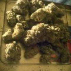 Profile Picture of Scott Simm (@ScottyP_Simm) on Twitter