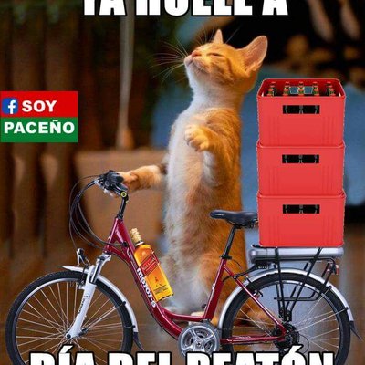 Profile Picture of Richard Terrazas (@RichardTerraz18) on Twitter